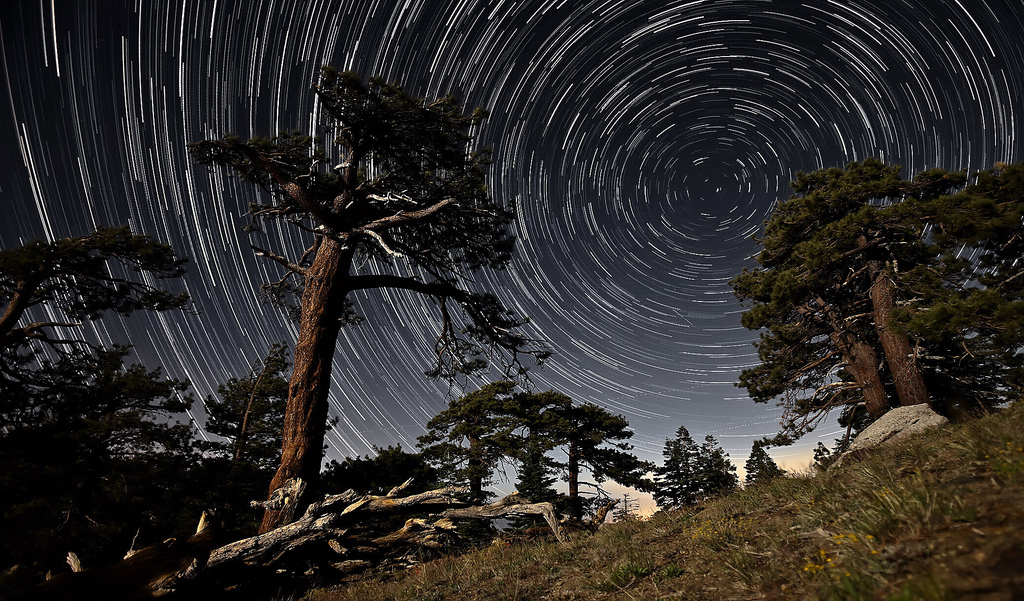Time Lapse of Stars and Trees